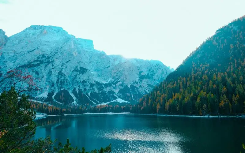 高精度创新数字化